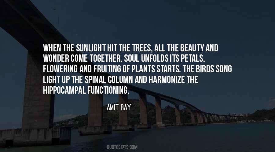 Light In Nature Quotes #691202