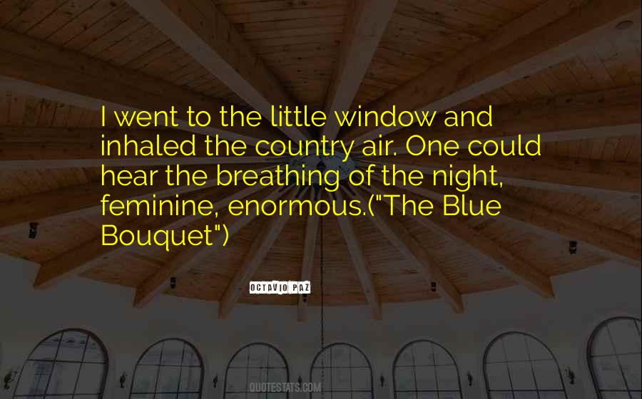 Country Night Quotes #1154989