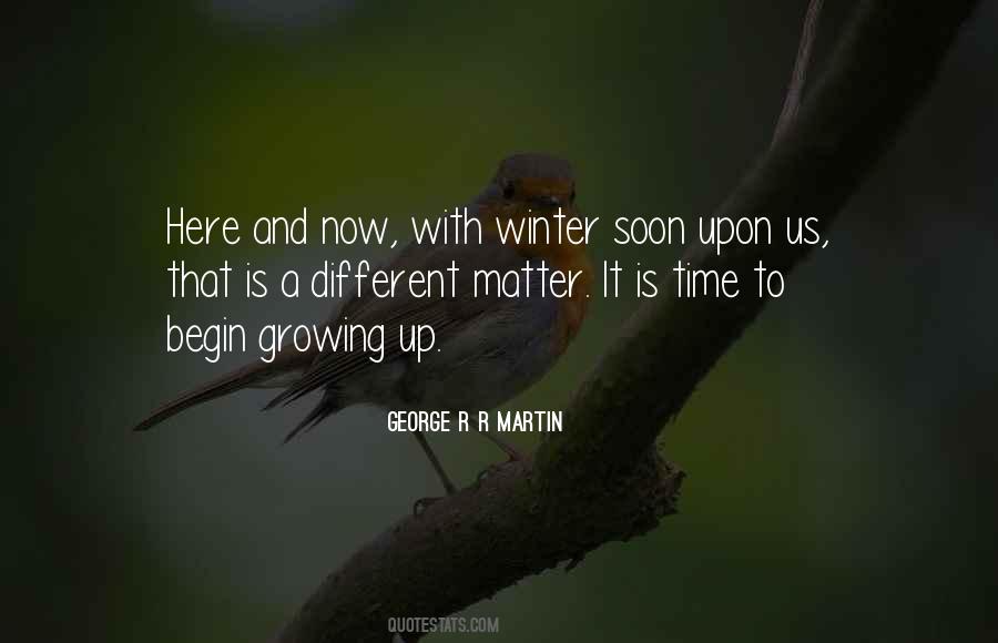 Begin It Now Quotes #954034