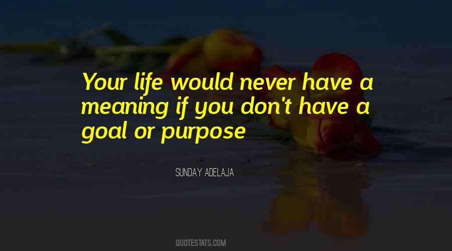 Life Without Purpose Is Meaningless Quotes #1152642