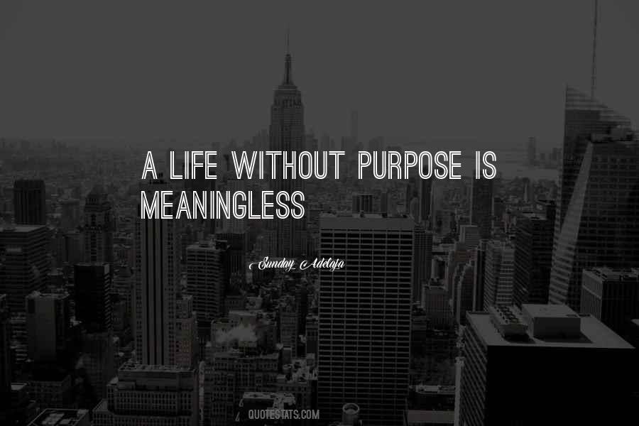 Life Without Purpose Is Meaningless Quotes #1340715