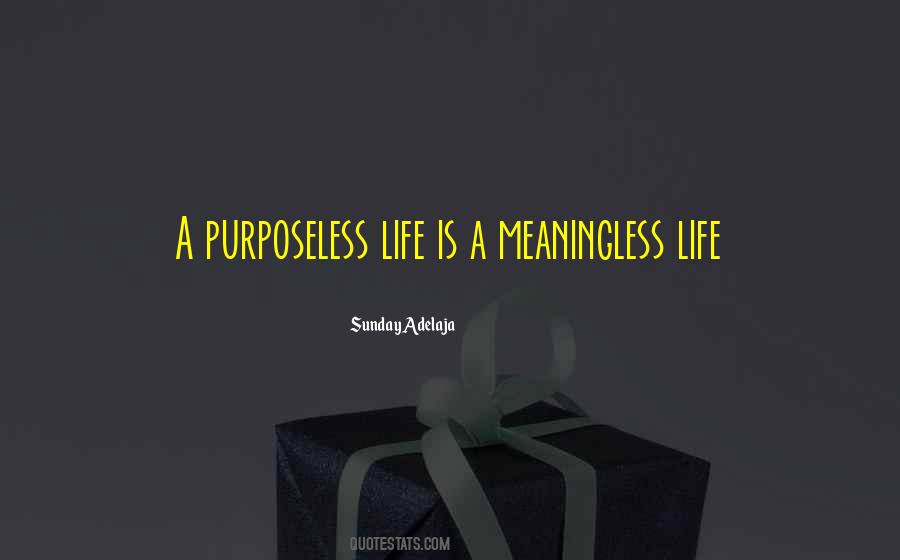 Life Without Purpose Is Meaningless Quotes #1841464
