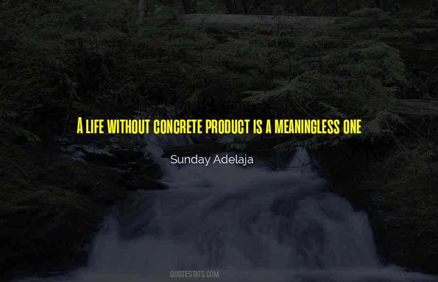 Life Without Purpose Is Meaningless Quotes #476884