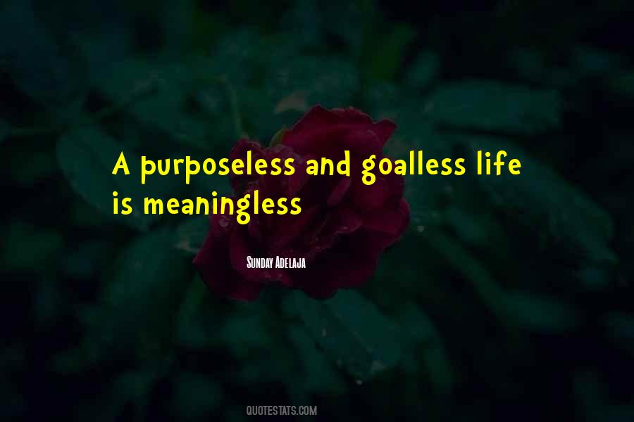 Life Without Purpose Is Meaningless Quotes #63864