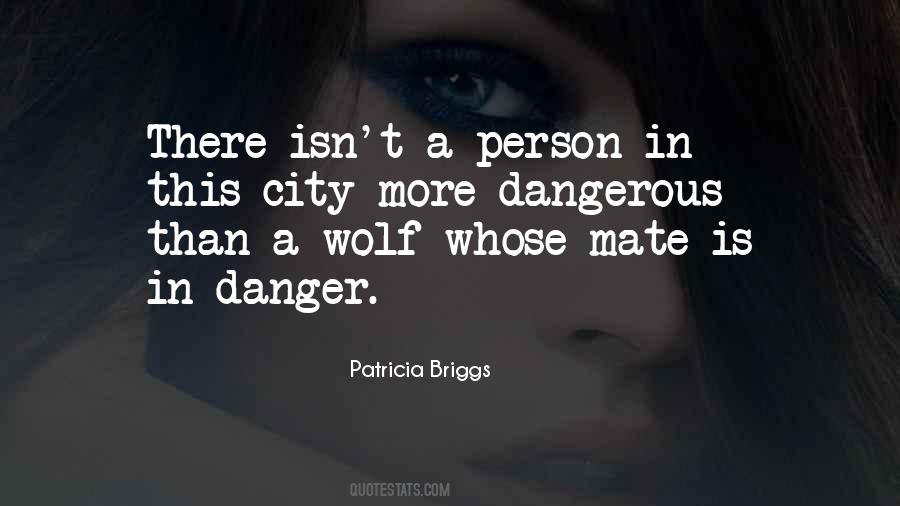 Danger Love Quotes #1418076