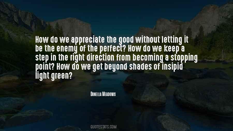 The Perfect Is The Enemy Of The Good Quotes #180884
