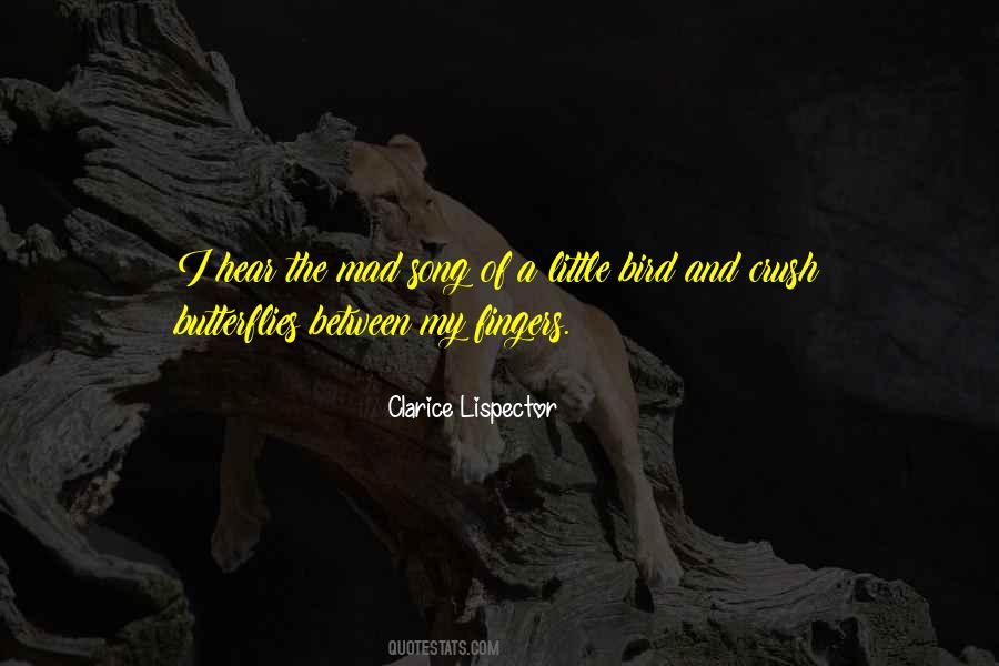 Crush Song Quotes #1677204