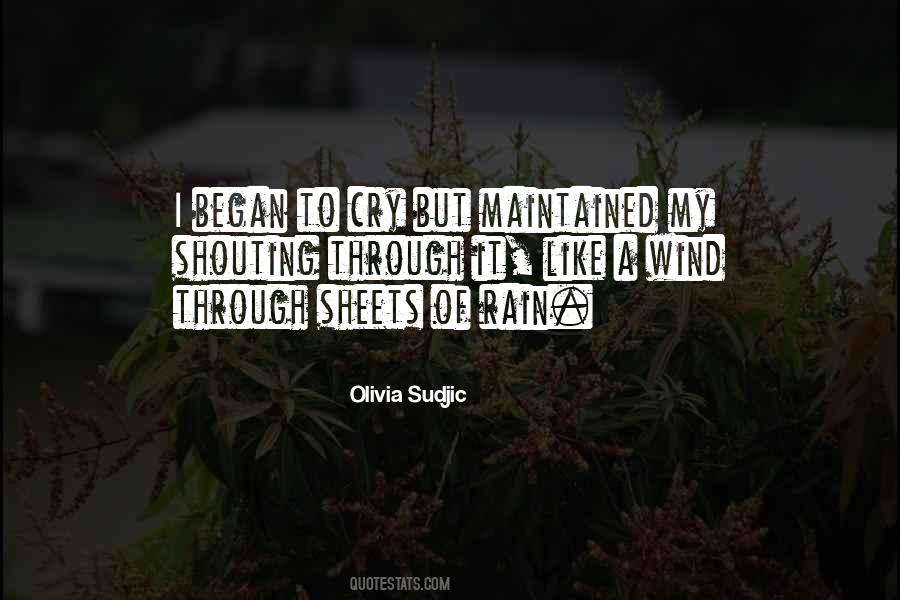 Shouting At The Rain Quotes #1580368 Shouting At The Rain Quotes #1580368