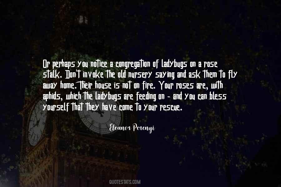 I Wish I Could Fly Away Quotes #353049