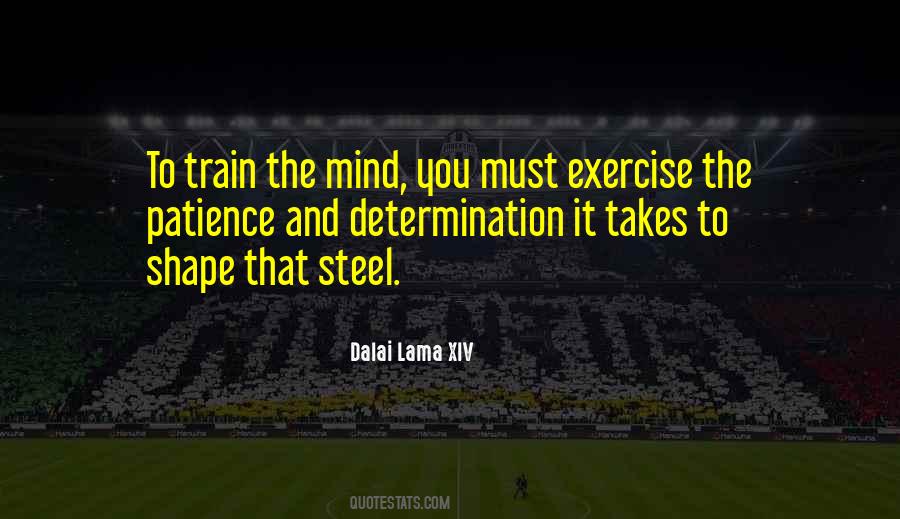 Train The Mind Quotes #5023