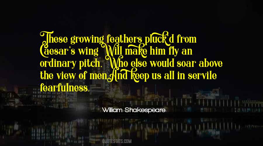 Quotes About The View From Above #873846