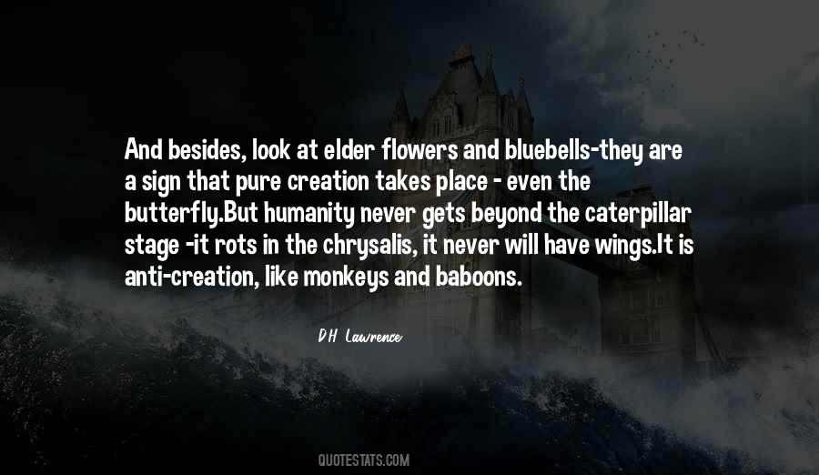 Anti Humanity Quotes #752862