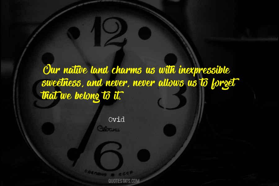 Never Forget Us Quotes #1113501