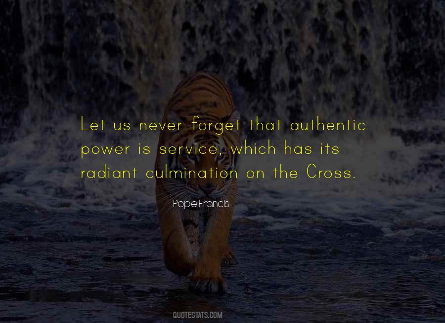Never Forget Us Quotes #742159