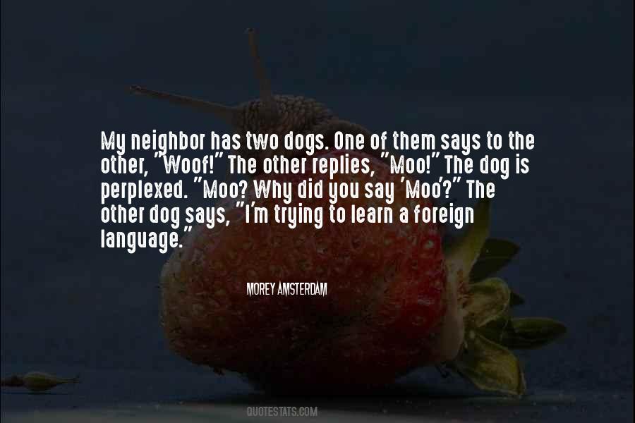Funny Foreign Language Quotes #1768431