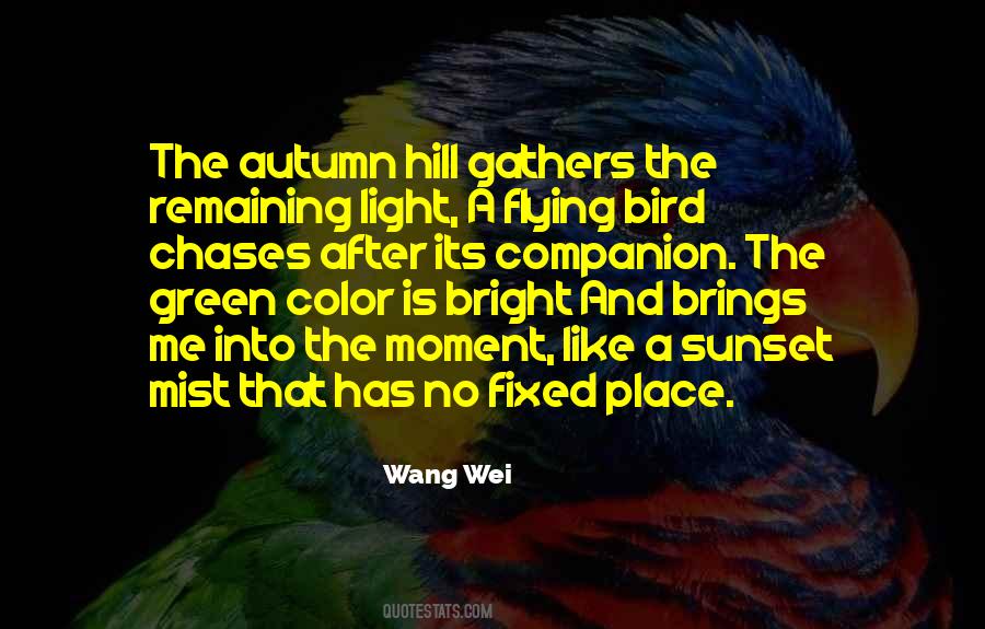 Sunset Light Quotes #1538005