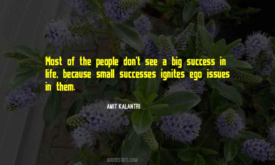 Small Inspiration Quotes #105555