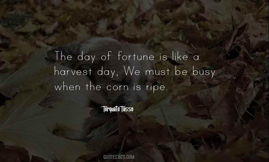 Be Busy Quotes #817261