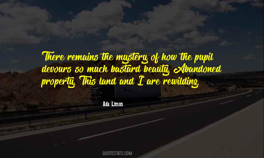 The Beauty Remains Quotes #441711