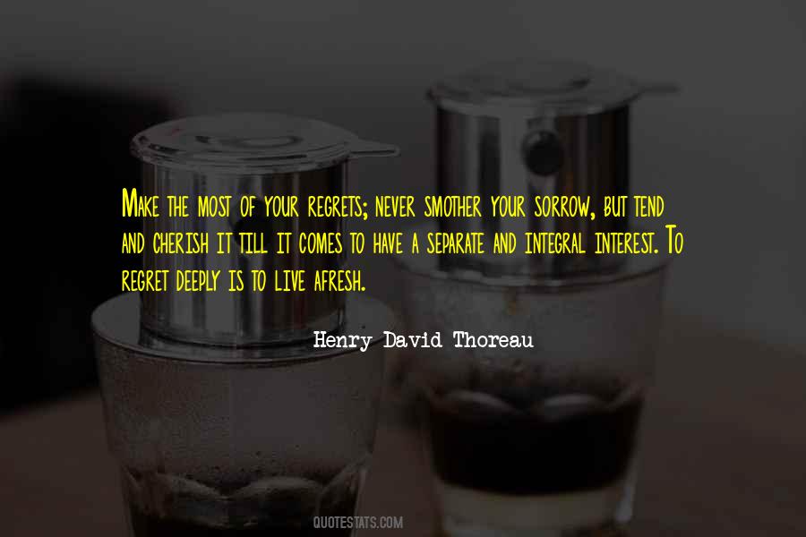 Never Have Regrets Quotes #172291