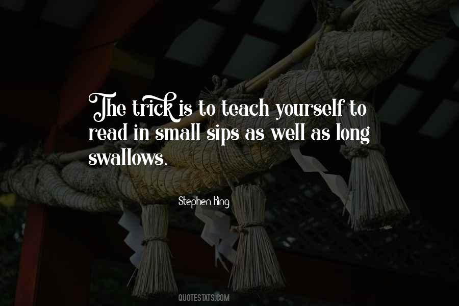 Small Reading Quotes #551957