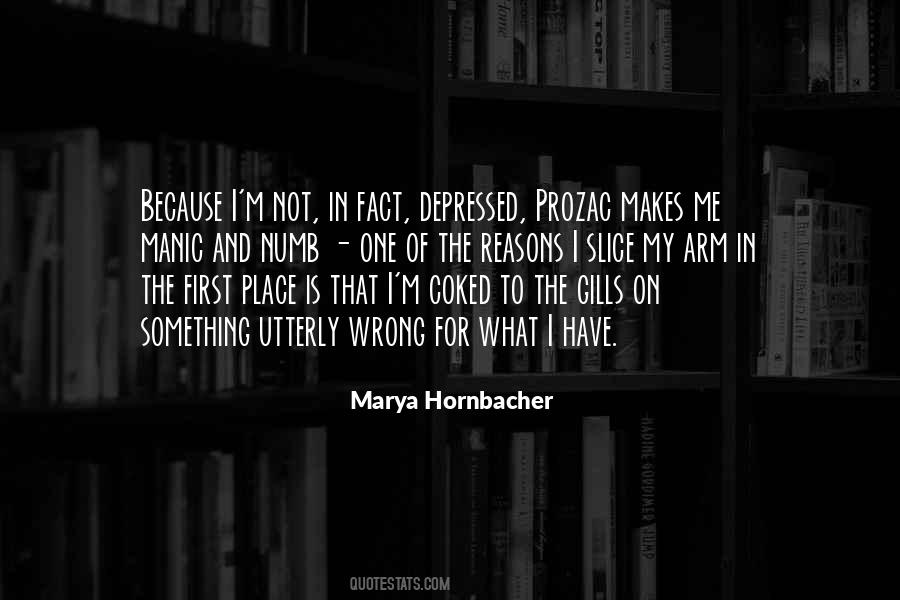 Something Makes Me Quotes #62527