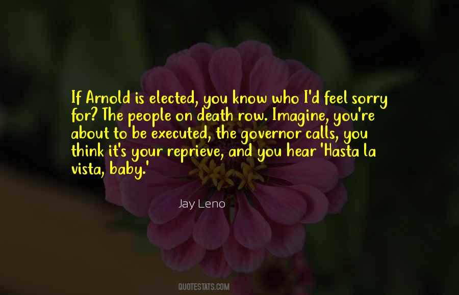 I Feel Sorry For You Quotes #1419100