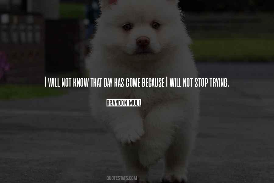 I Will Stop Trying Quotes #888591