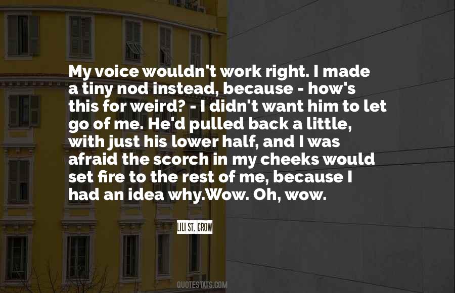 Go Back To Him Quotes #884681