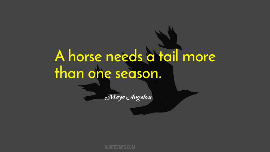 Horse Humor Quotes #1132329