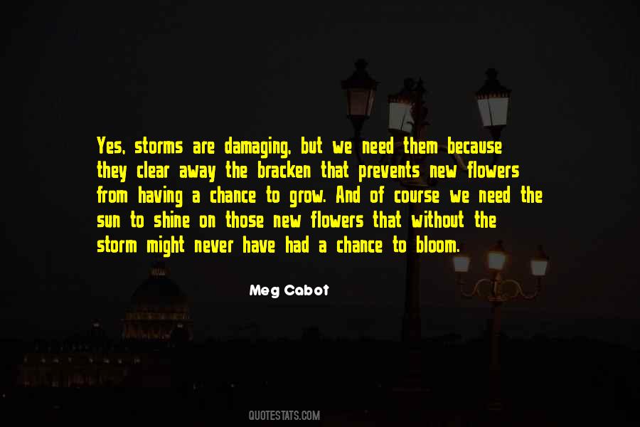 Hope And Chance Quotes #542831