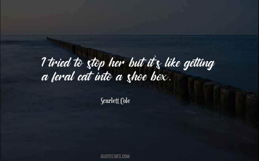 Cat In A Box Quotes #1054664