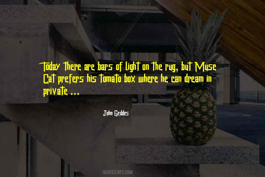 Cat In A Box Quotes #1143521