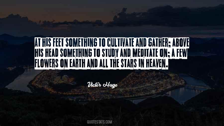 Stars And Earth Quotes #347721