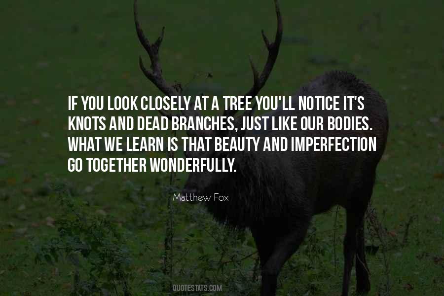 Quotes About Beauty Imperfection #1797166