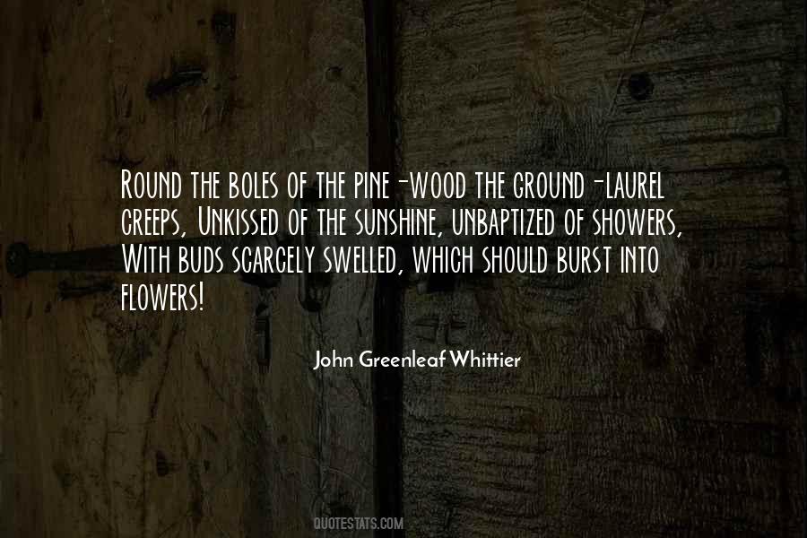 Pine Wood Quotes #1620214