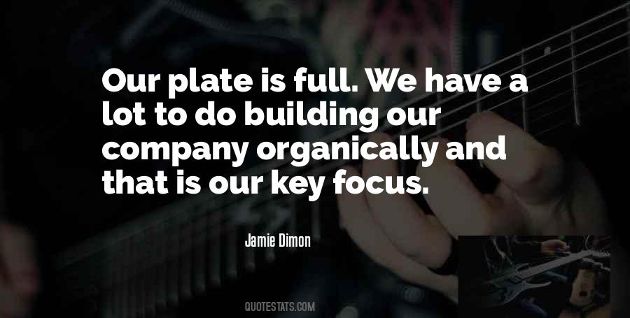 I Have A Lot On My Plate Quotes #67532