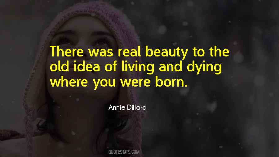 Funny Heaven Quotes #83158