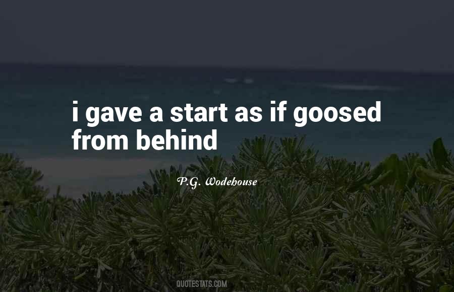 Quotes About Goosed #1093917