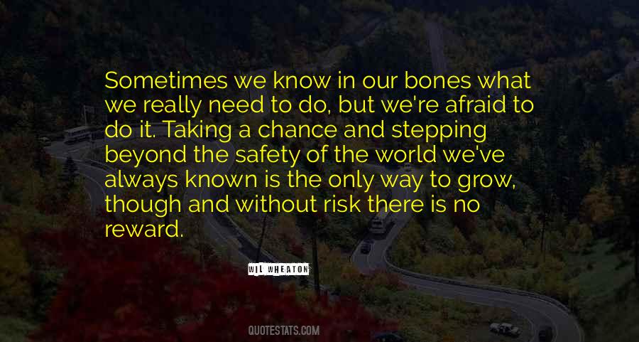 Quotes About Chance Risk #1192396