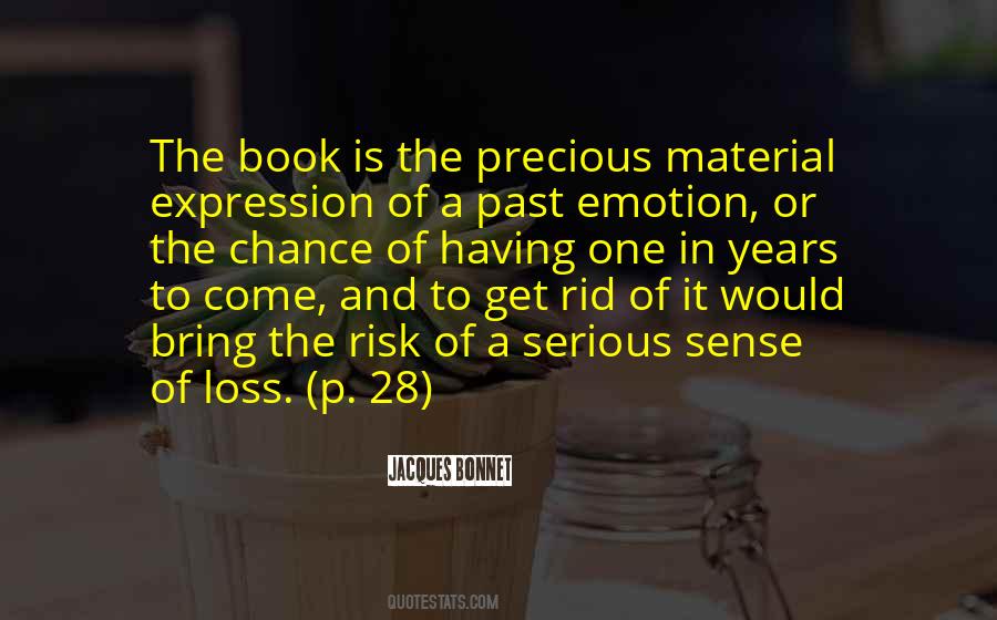 Quotes About Chance Risk #1250514