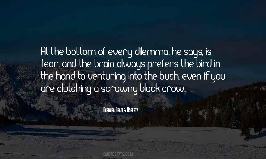 Quotes About Chance Risk #600825