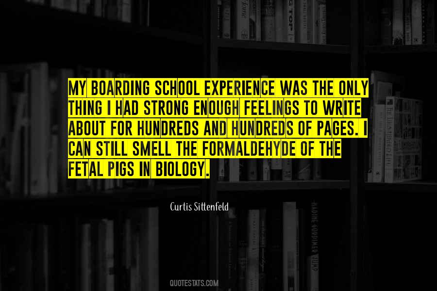 About School Quotes #231180