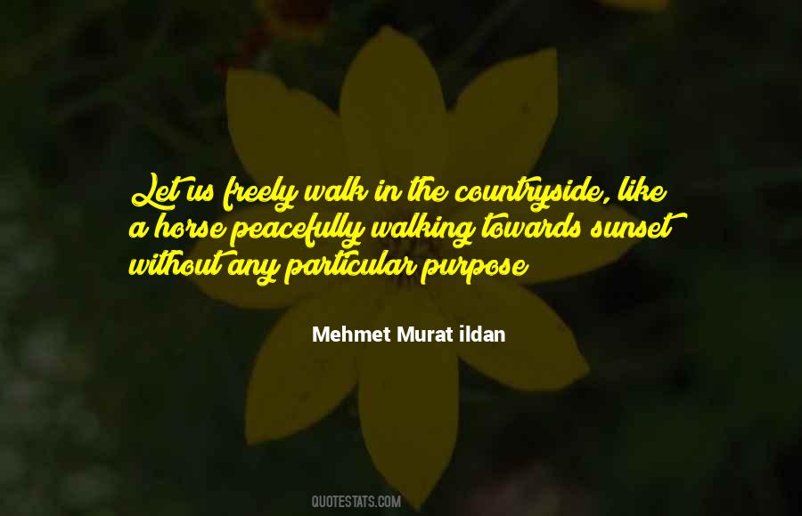 Sunset Walk Quotes #65726