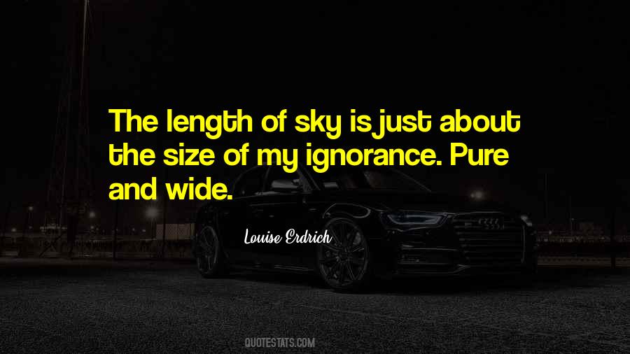 Pure Sky Quotes #1130093