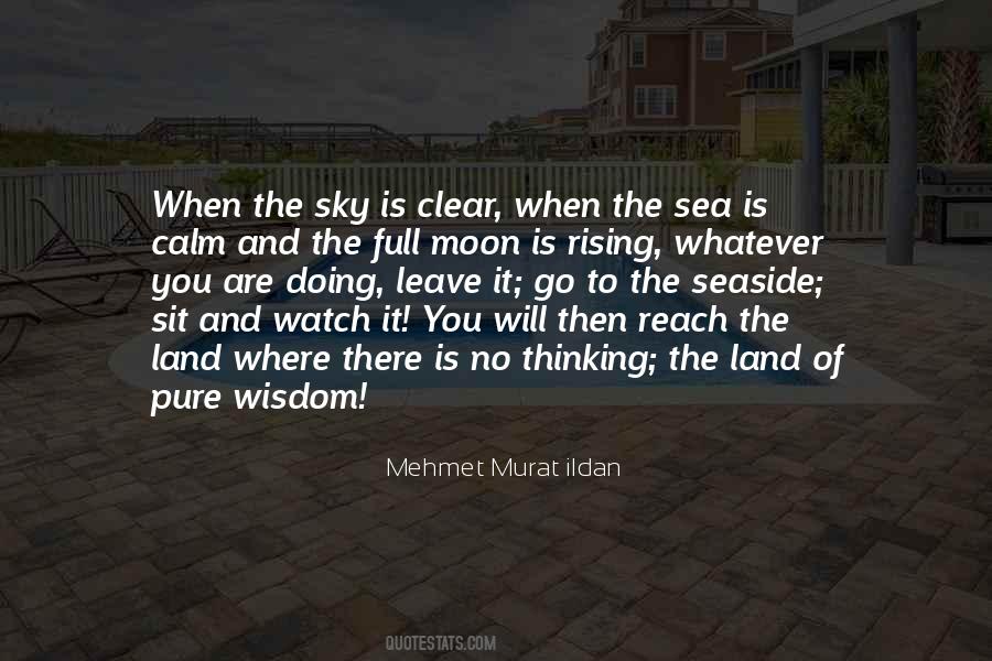 Pure Sky Quotes #368718