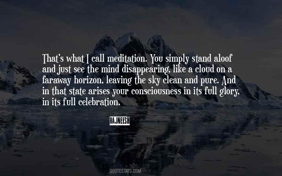 Pure Sky Quotes #699064