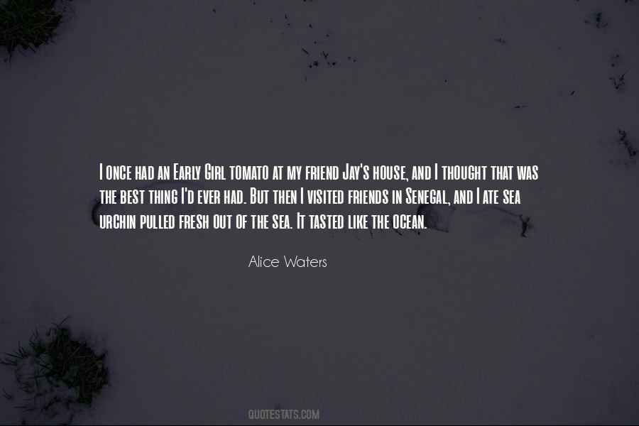 Best Friends Ever Quotes #1281882