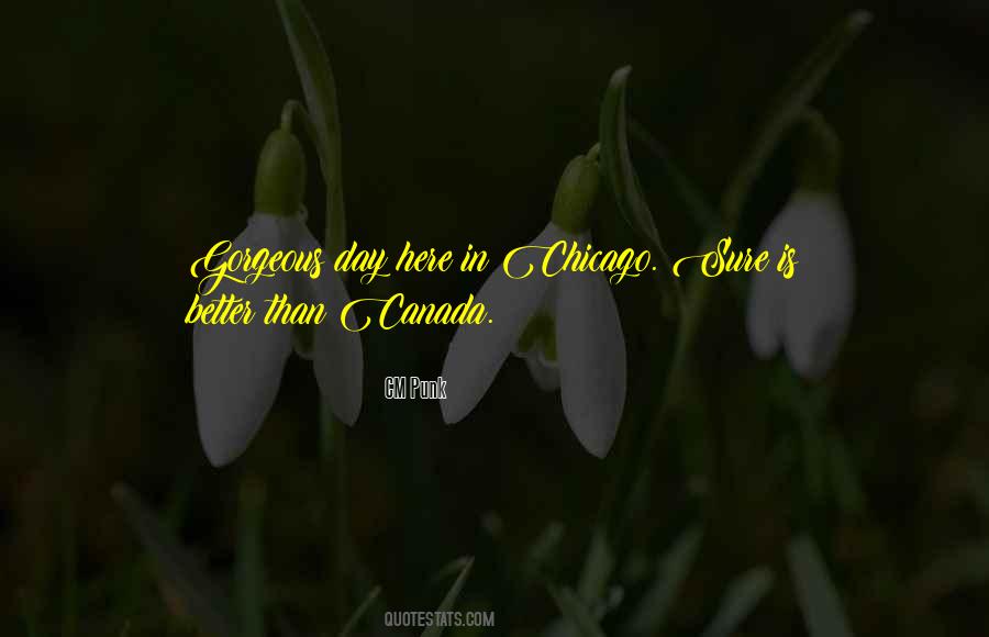 A Gorgeous Day Quotes #317029