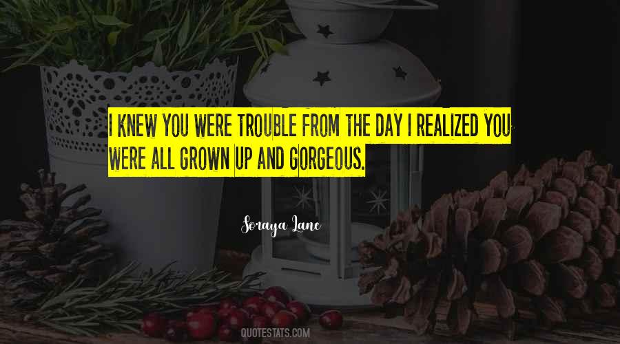 A Gorgeous Day Quotes #726507